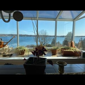 Meet your Posher, Maia